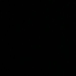 Meet your Posher, Julianna